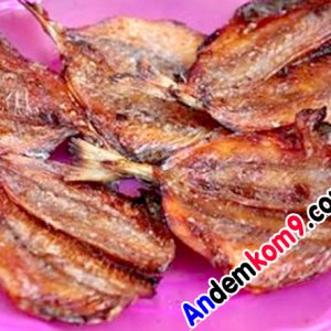 ship cá chỉ vàng đêm Hà Nội