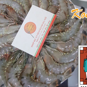 Tôm tươi ăn thêm nhúng lẩu ngon