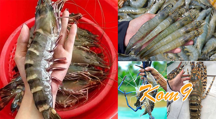 Kom9 chỉ cách chế biến các món nhậu từ tôm hải sản ngon