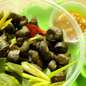 Món nhậu ốc luộc ngon Kom9
