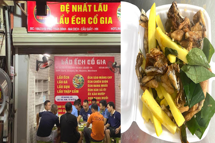 Lau ech Co Gia duong Cau Giay