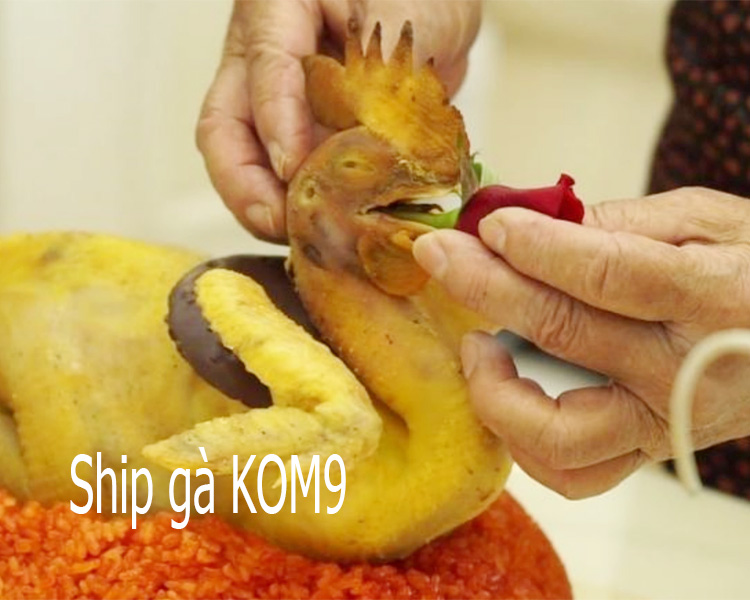G&agrave; c&uacute;ng động thổ x&acirc;y nh&agrave;